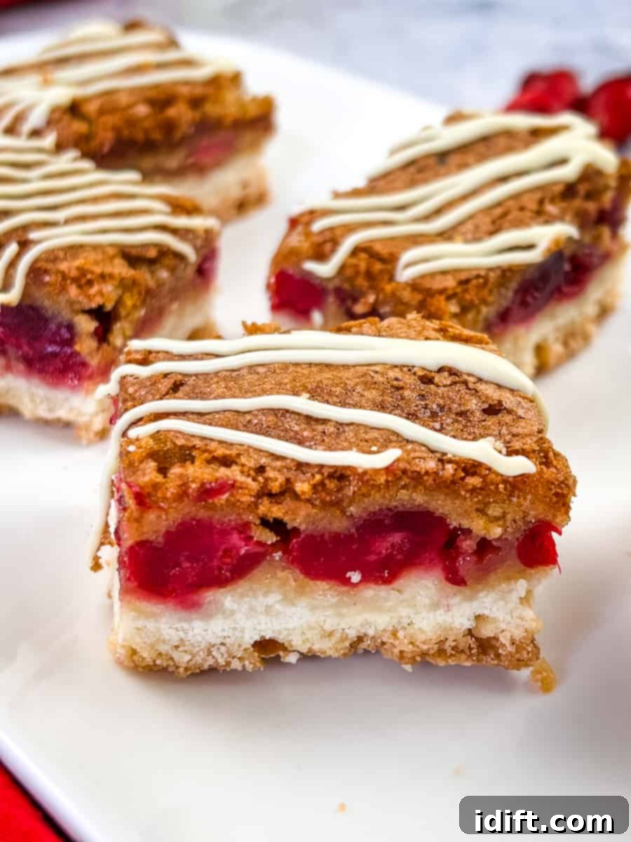 Tangy Cranberry Squares 1 featured 32253