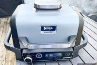 Ninja Woodfire Outdoor Grill: Is It Worth Buying?