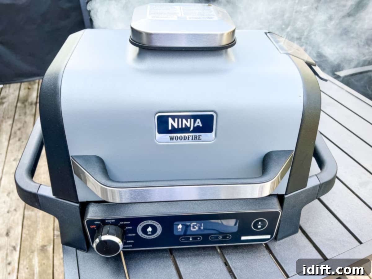 Ninja Woodfire Outdoor Grill: Is It Worth Buying? 1 featured 42973