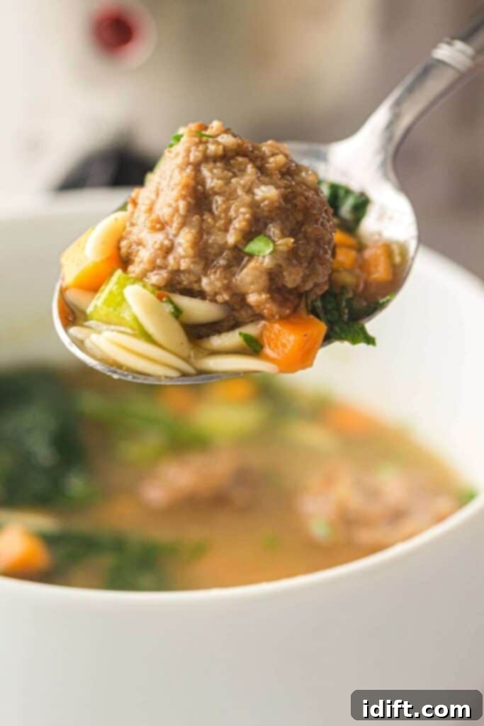 Slow Cooker Italian Wedding Soup Delight 3 Spoonful of Italian Wedding Soup