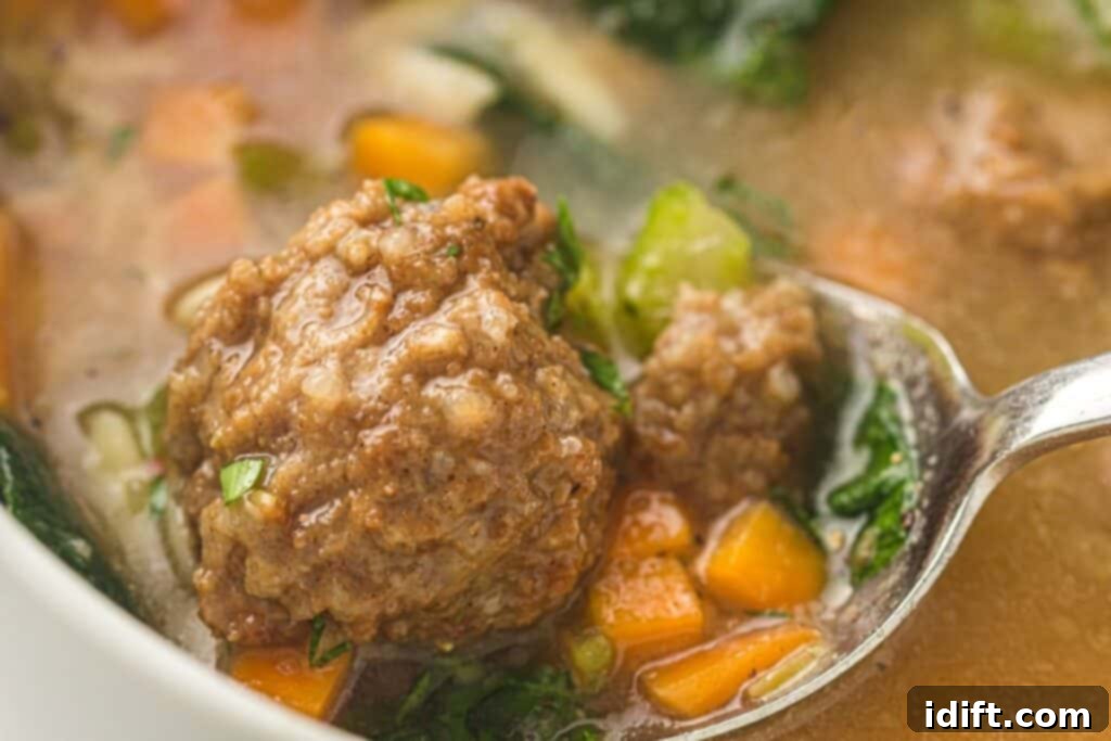 Slow Cooker Italian Wedding Soup Delight 9 Spoonful of Soup with Meatball