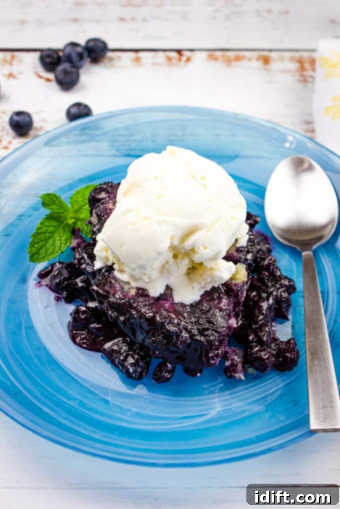 A warm bowl of Blueberry Grunt topped with a scoop of vanilla ice cream, showcasing the tender biscuit and rich blueberry sauce.