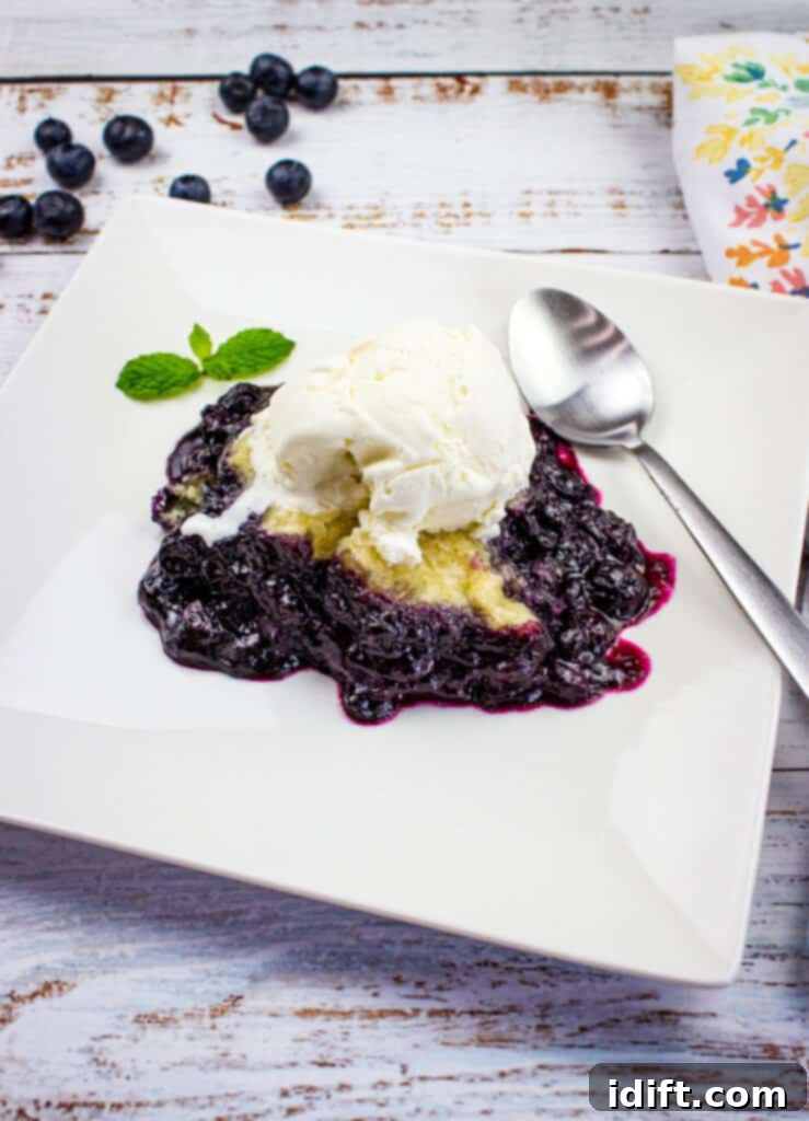 A serving of warm Blueberry Grunt with fluffy biscuits and rich blueberry sauce, presented beautifully on a white plate.
