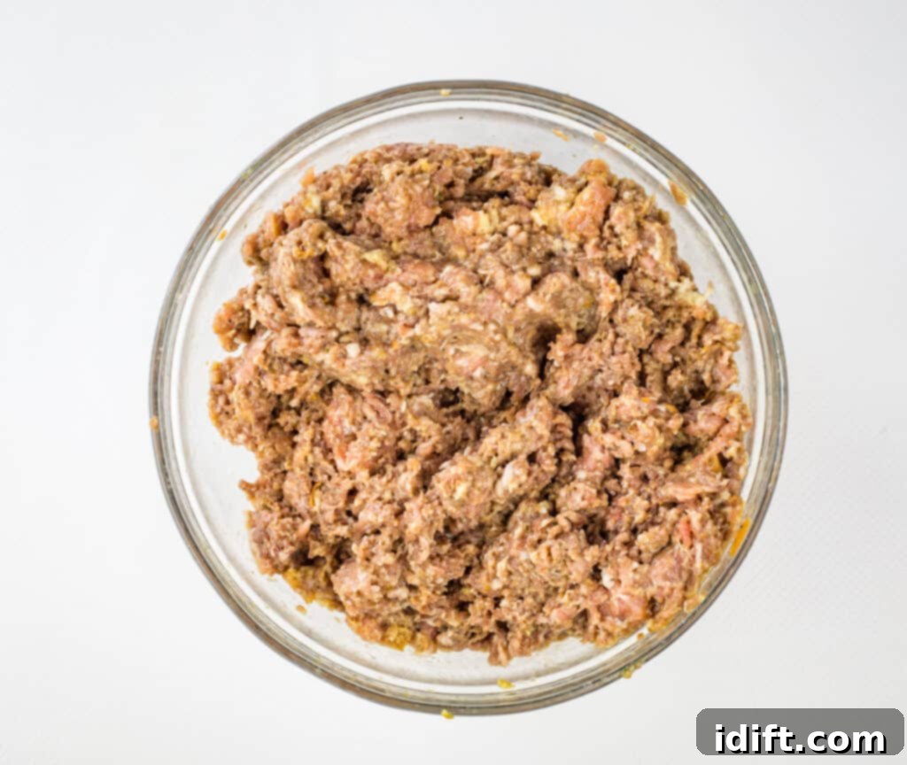 Meatball mixture thoroughly but gently combined.