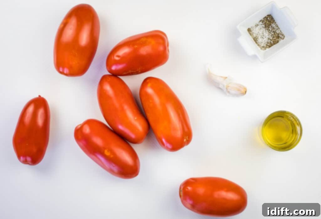 Ember Salsa 4 Ingredients for smoking tomatoes