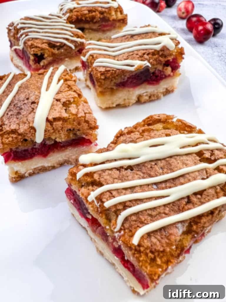 Tangy Cranberry Squares 2 Exquisitely arranged cranberry bars on a pristine white platter, showcasing their vibrant red topping and golden shortbread base.