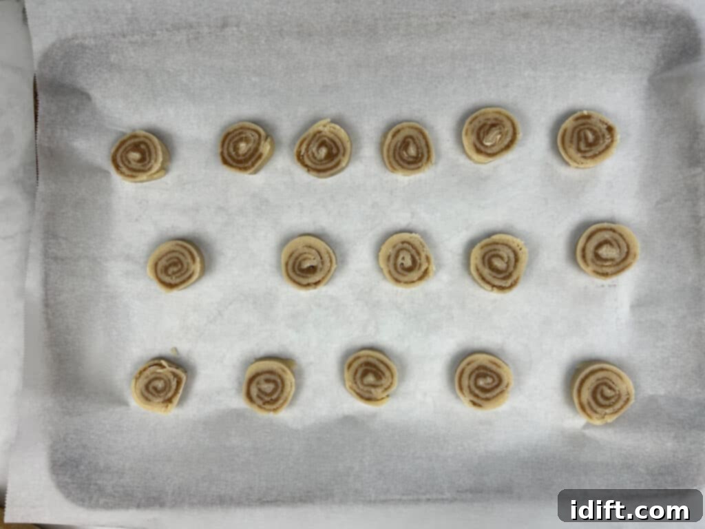 cinnamon roll cookie dough on a sheet pan