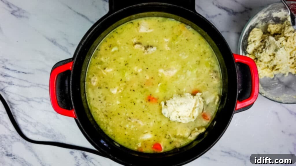 Adding dumplings to chicken stew