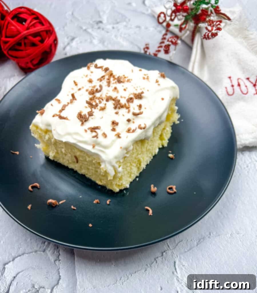 A beautifully moist slice of Eggnog Tres Leches Cake on a dark plate, invitingly presented.