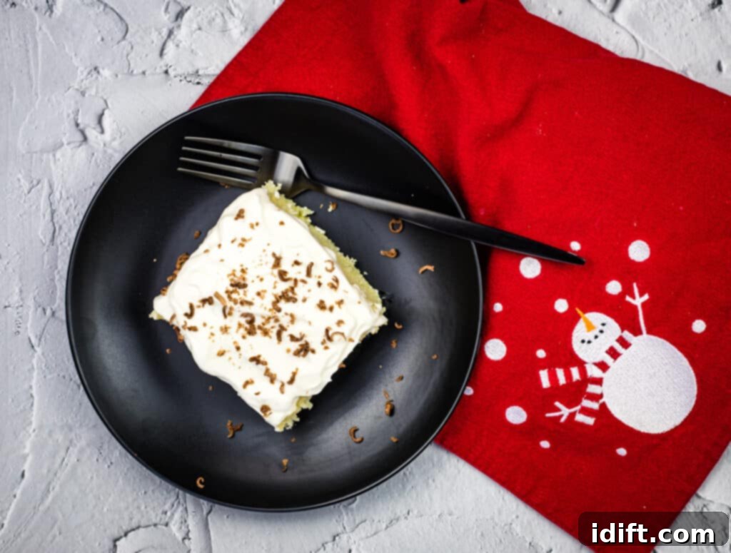 A serving of Eggnog Tres Leches Cake, invitingly garnished and ready to be devoured.