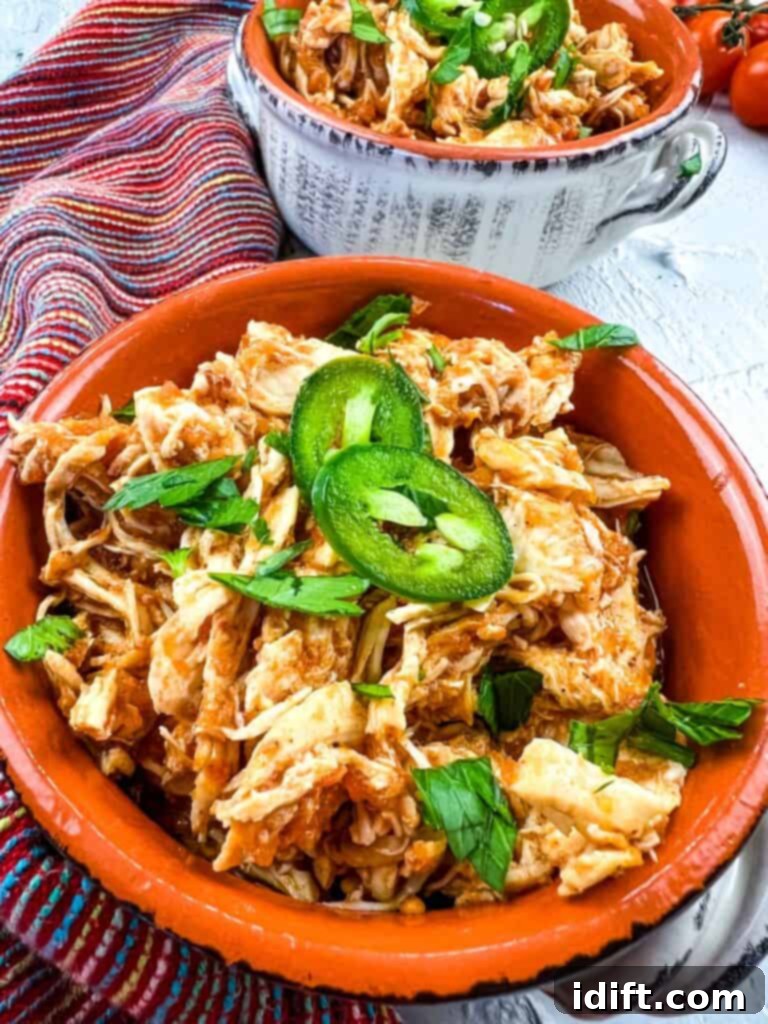 Easy Instant Pot Chicken Tinga 2 chicken tinga instant pot in a serving dish, garnished with cilantro