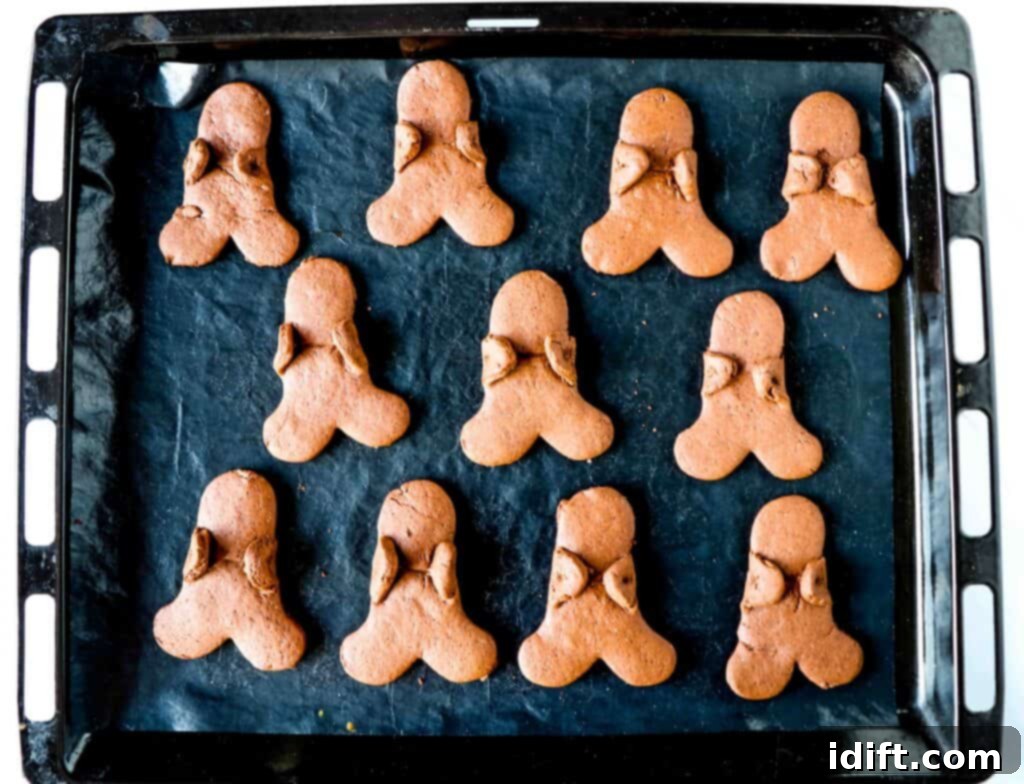 Baked chocolate gingerbread men cookies on a baking sheet, golden and ready for decoration.