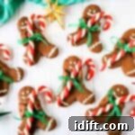 Several chocolate gingerbread cookies holding candy canes on a white table.