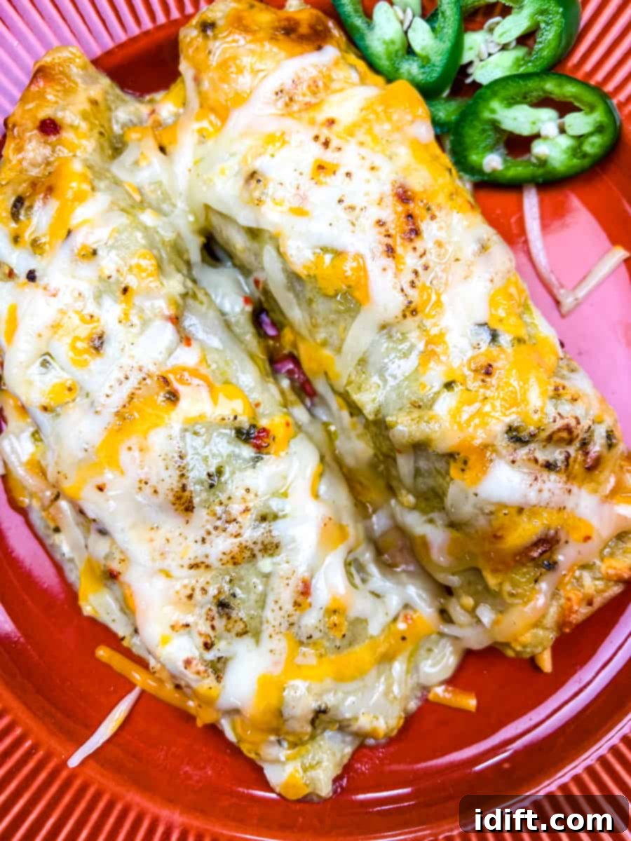 smoked chicken enchiladas on a plate