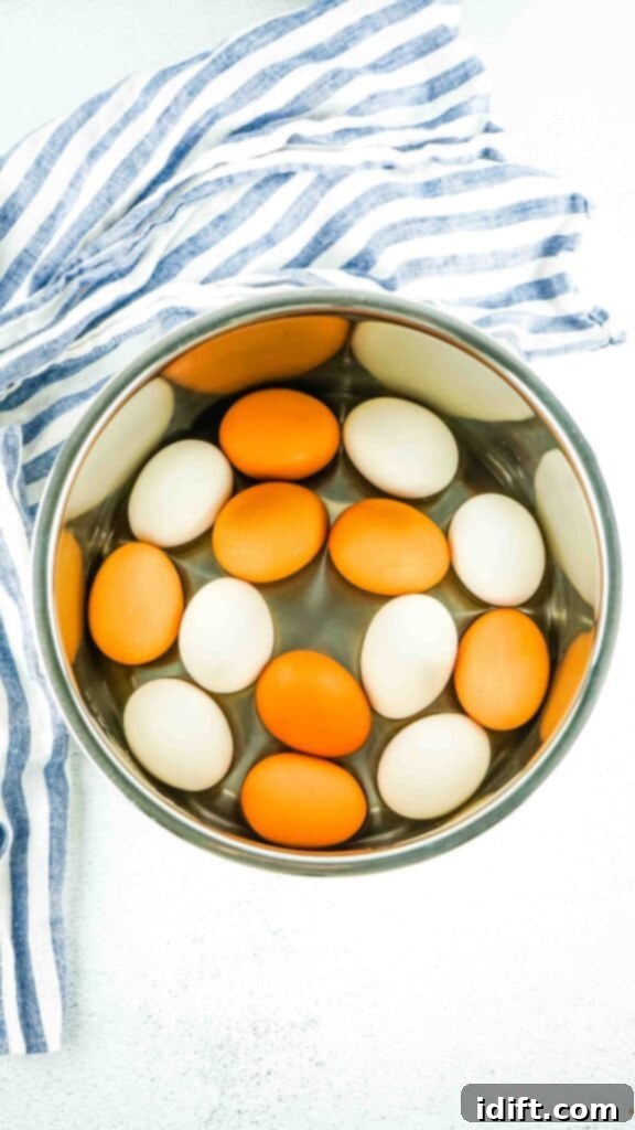 Raw eggs carefully placed in a single layer inside the Instant Pot liner.