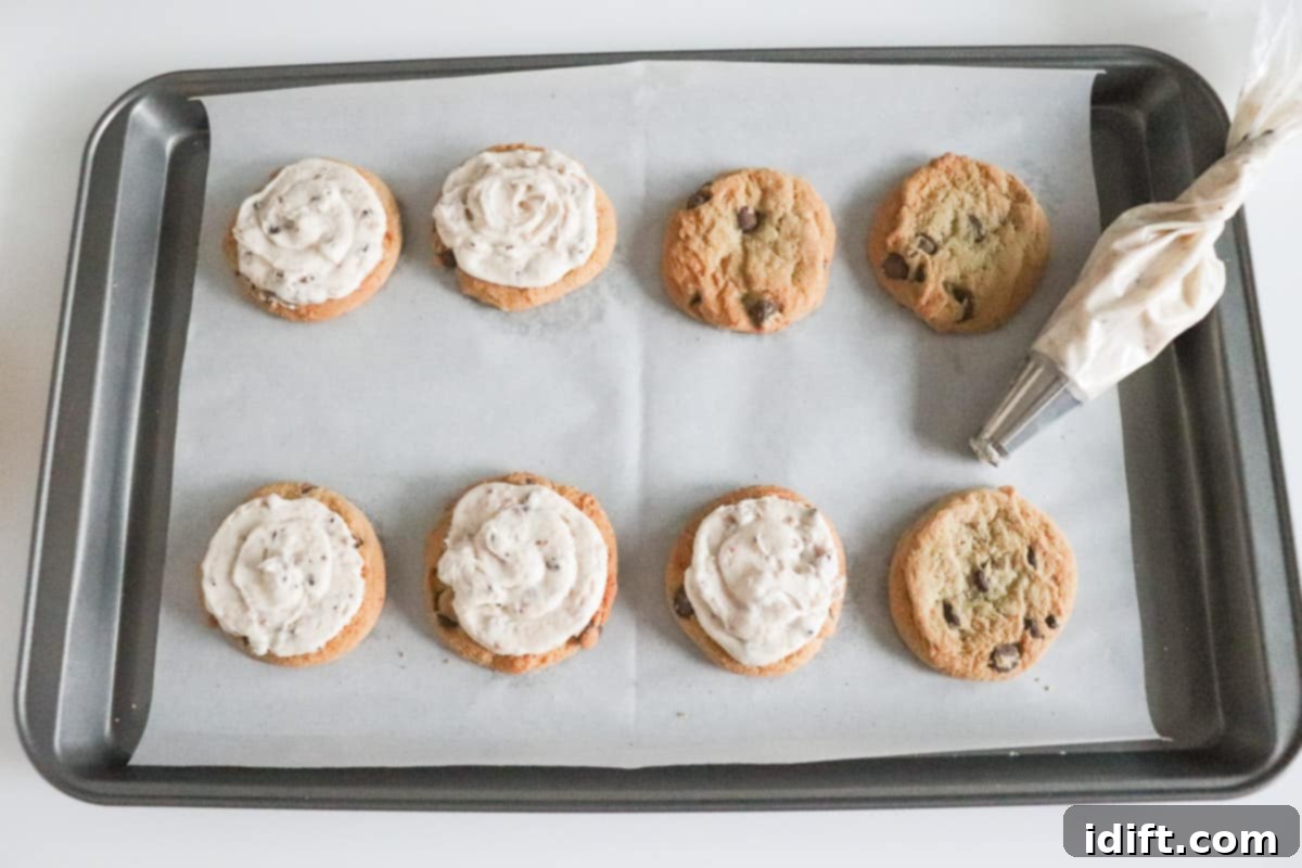 Decadent Frosted Chocolate Chip Delights 8 Frosted chocolate chip cookies on a wire rack