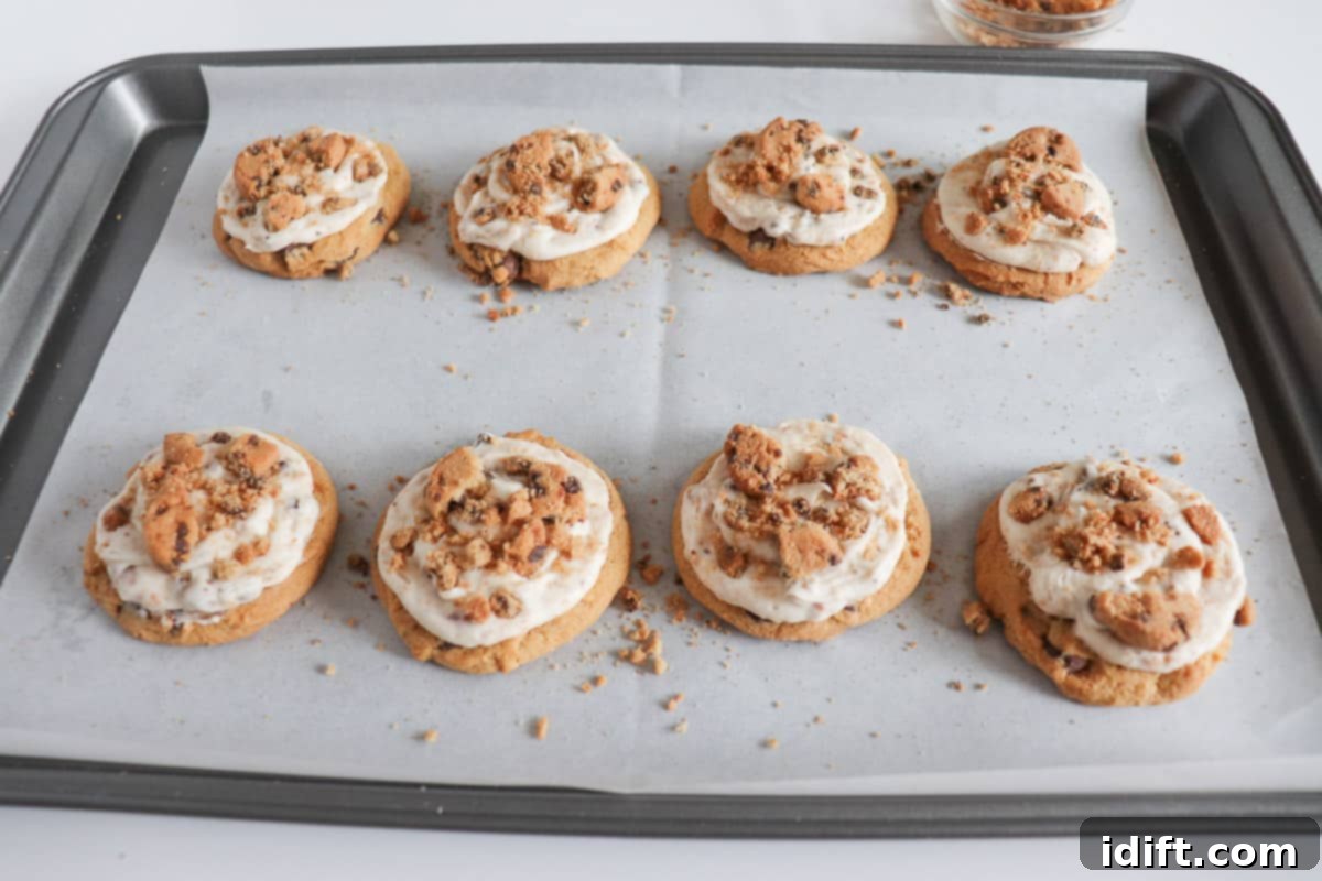 Decadent Frosted Chocolate Chip Delights 10 Iced and topped chocolate chip cookies with extra cookie crumbs