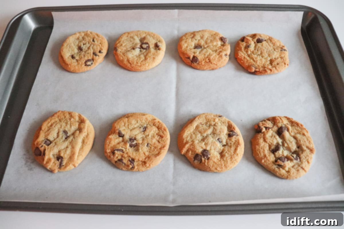 Decadent Frosted Chocolate Chip Delights 7 Baked golden brown chocolate chip cookies on a baking sheet