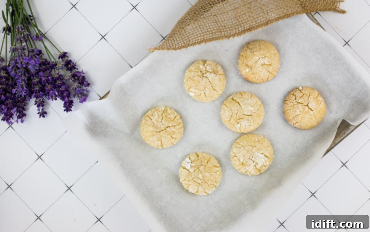 baked cookies on a pan