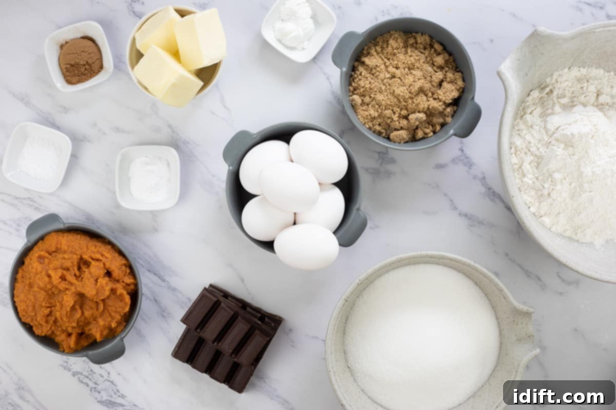 Spiced Chocolate Pumpkin Dream 4 A collection of ingredients laid out for making pumpkin chocolate cake