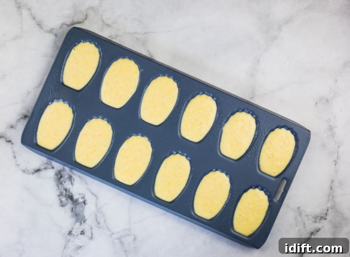 filled madeleine cookie mold