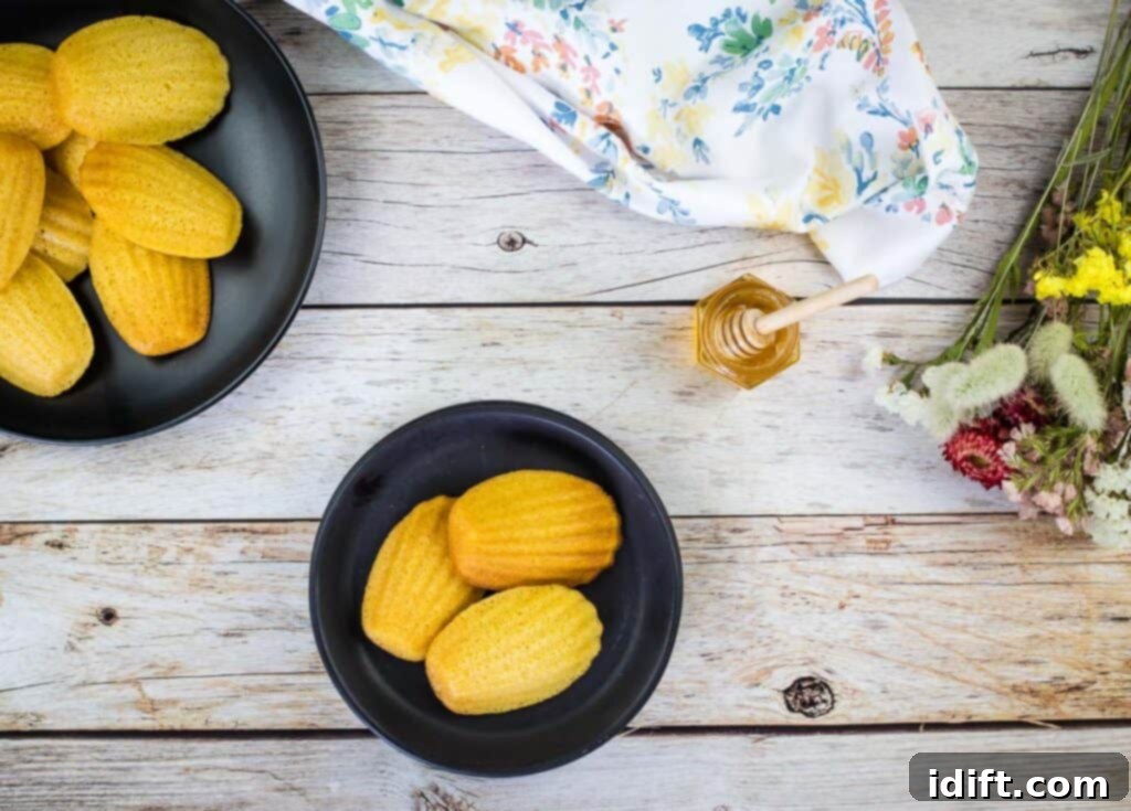baked cornbread madeleines on a black background