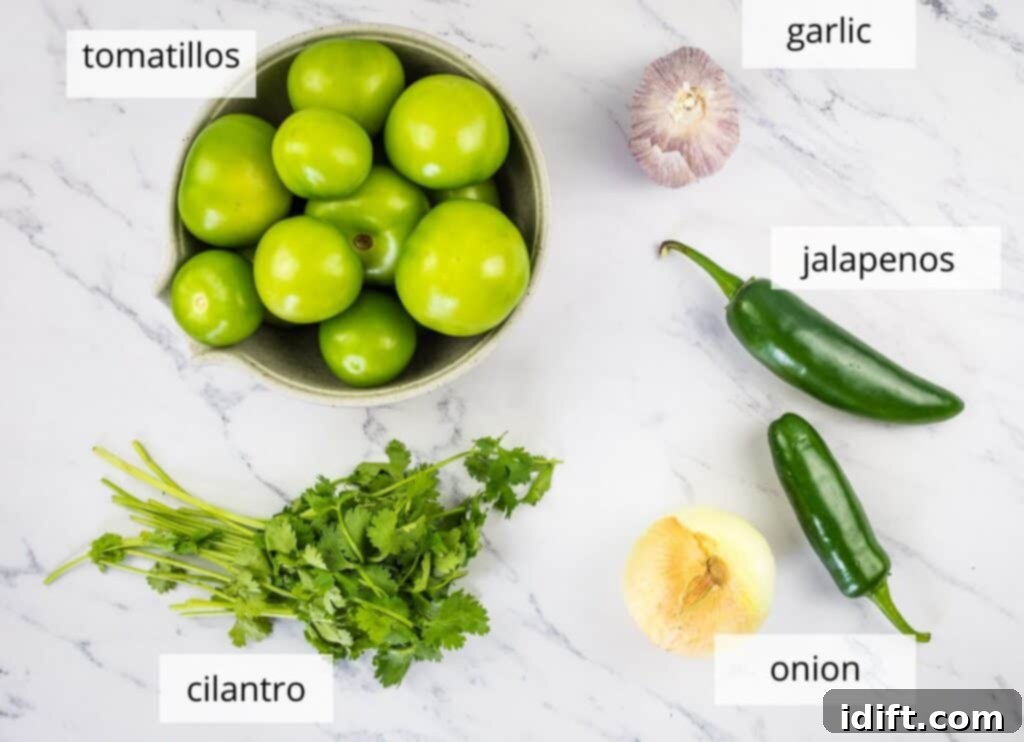 Labeled ingredients to make tomatillo sauce.