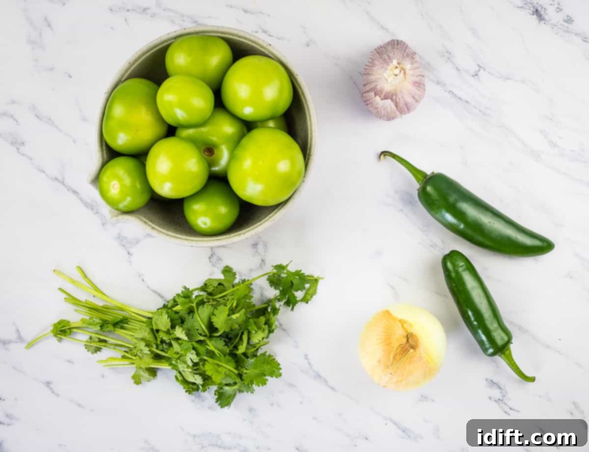 Tomatillo sauce ingredients.