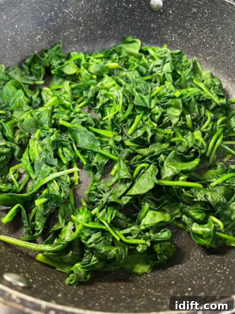 Cooked baby spinach ready for squeezing and chopping.