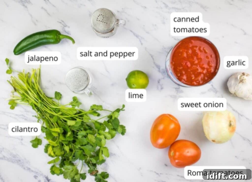 Labeled ingredients to make food processor salsa.