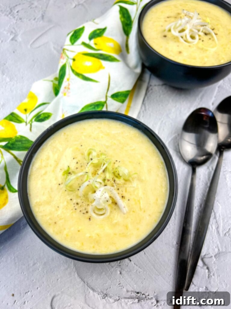 Leek and Green Garlic Soup in two black bowls with spoons.