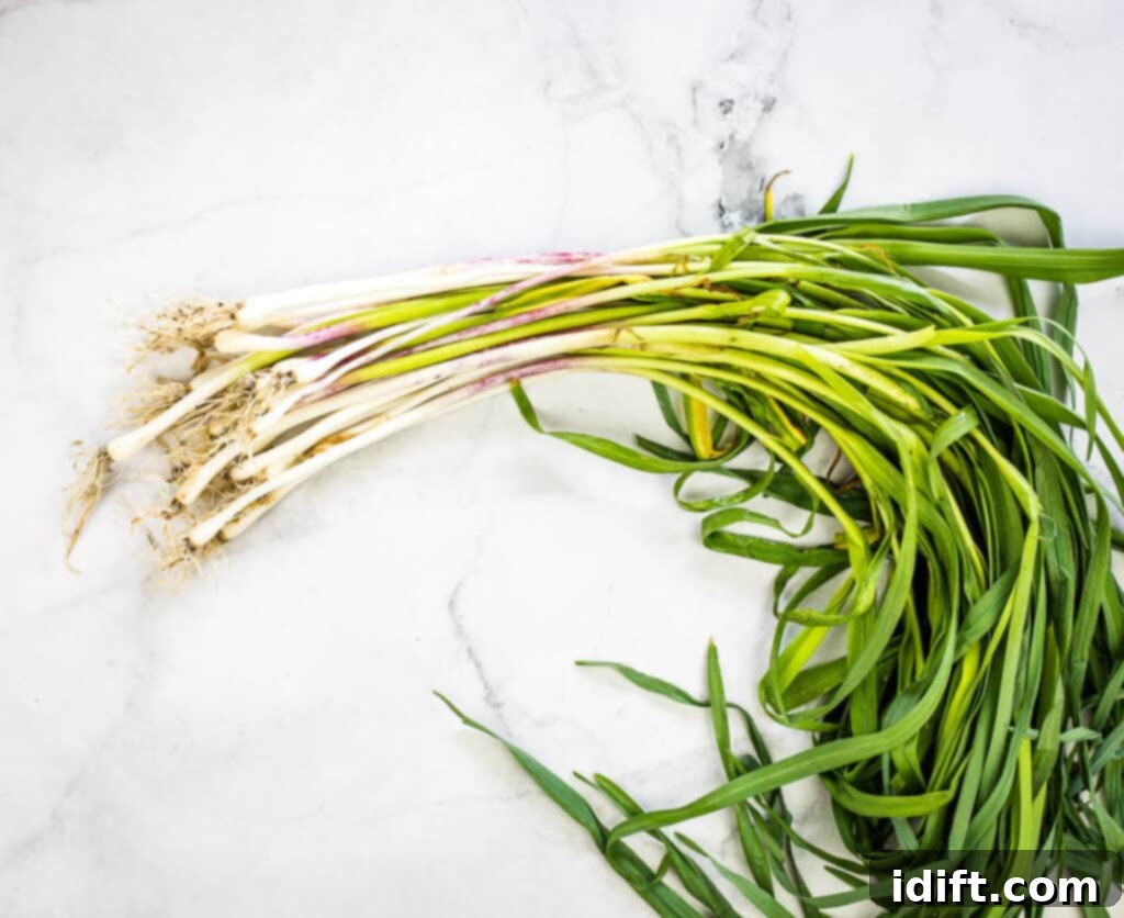 A bunch of green garlic on the counter.