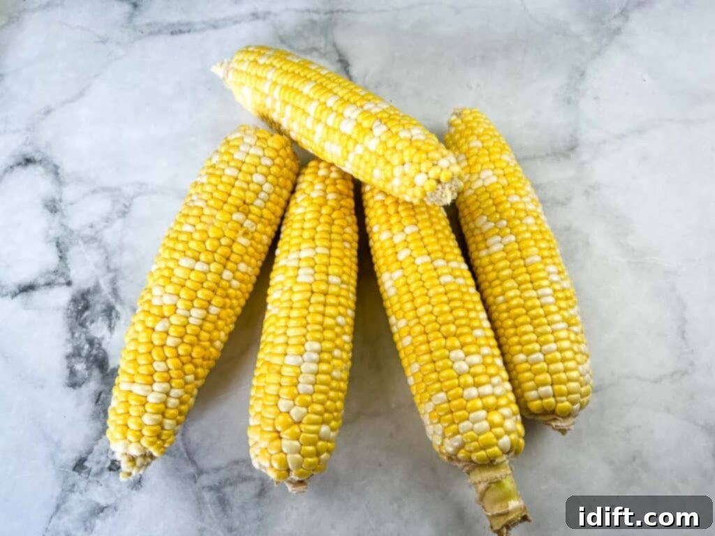 Shucked corn on the cob, clean and ready for preparation.