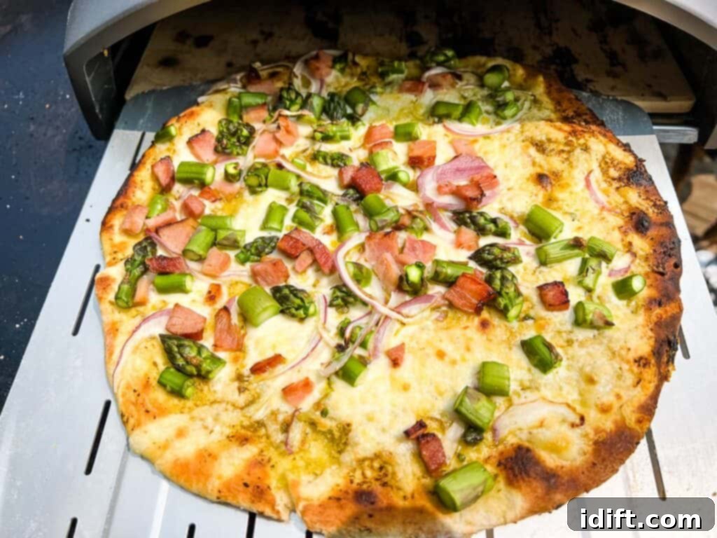 Asparagus and Prosciutto Masterpiece 13 Finished Ham & Asparagus Pizza, hot out of the Ooni oven.