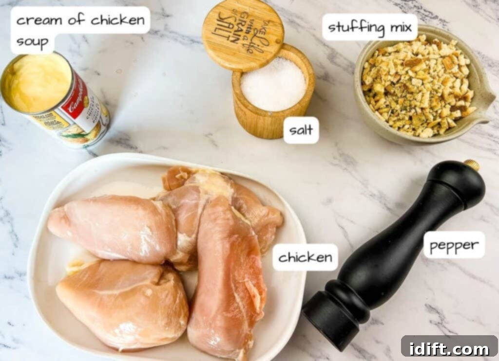 Labeled ingredients for 4-Ingredient Slow Cooker Chicken: chicken breasts, cream of chicken soup, stuffing mix, water/broth, and optional spices.