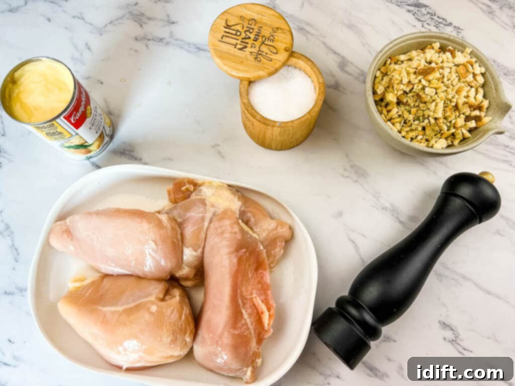 Ingredients to make 4-ingredient slow cooker chicken, laid out on a counter.
