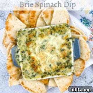 Mediterranean Spaghetti Delight 7 A creamy Brie Spinach Dip served in a rustic bowl, surrounded by warm pita wedges, perfect for dipping.