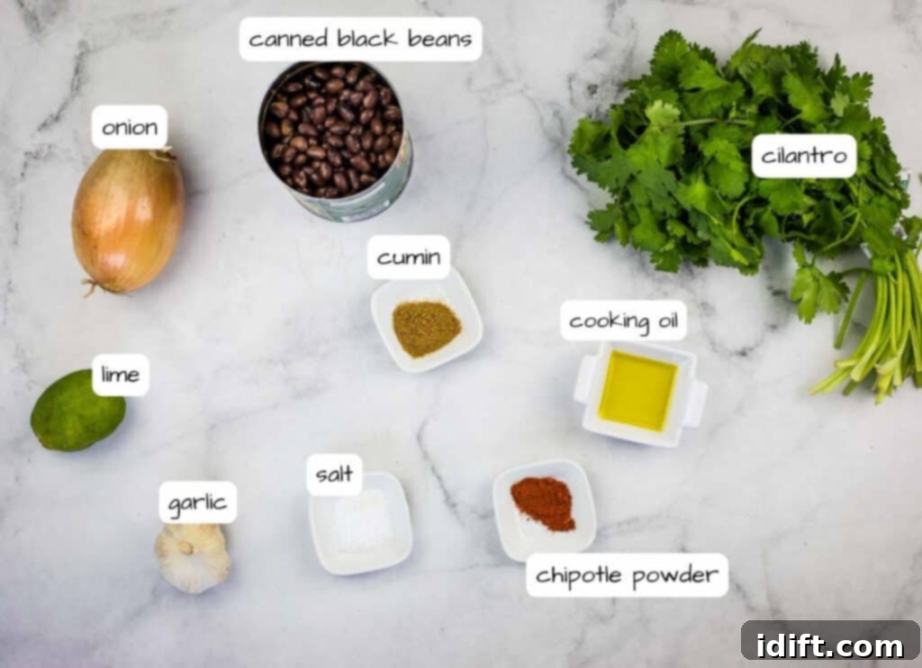 Ingredients for a recipe for black beans and cilantro.