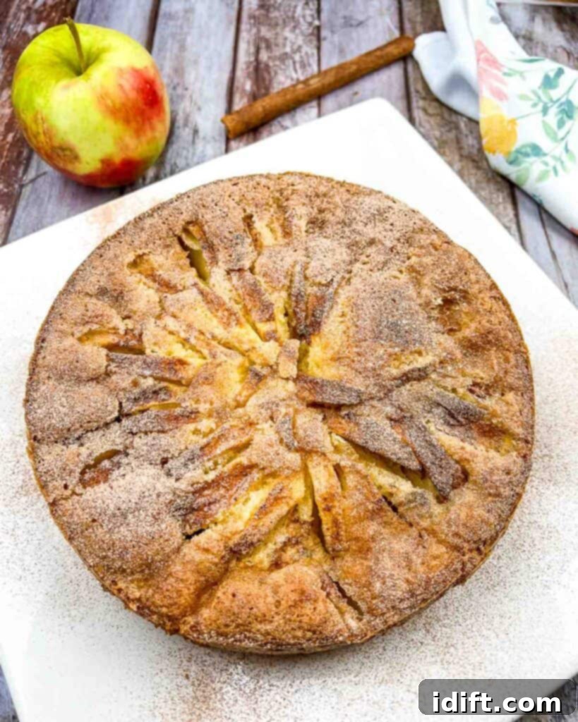 A slice of Nanna's Apple Cake on a white plate, showcasing its rustic beauty and apple-filled interior.