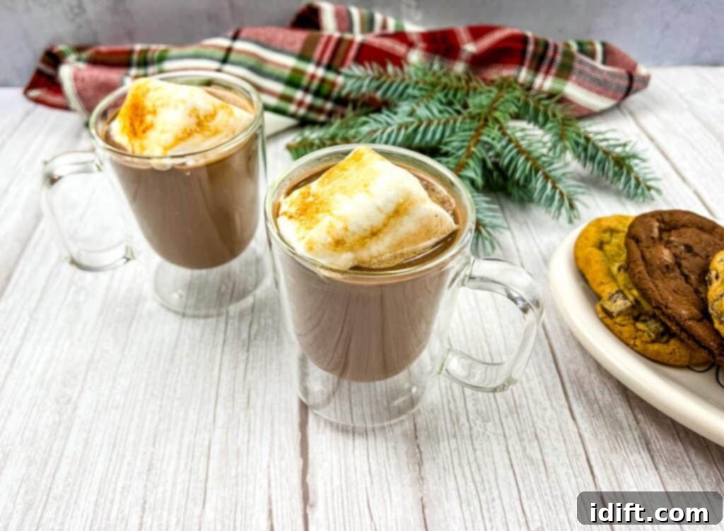 Two glasses of Baileys hot chocolate with homemade marshmallows and festive cookies.