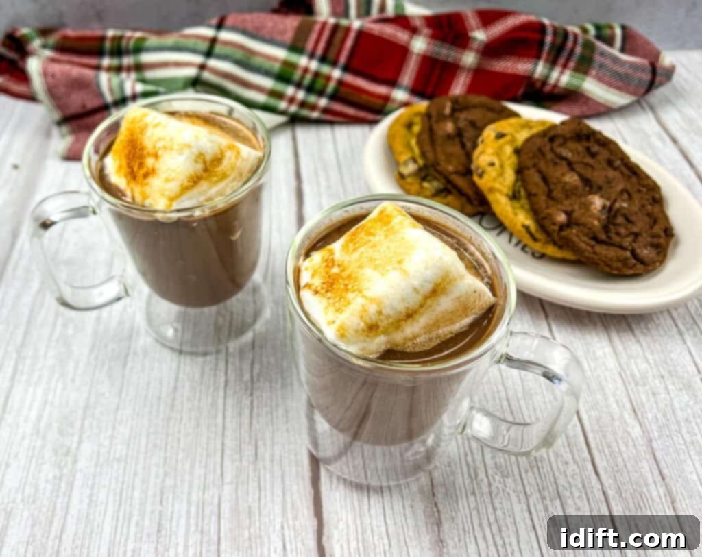 Another view of two glasses of Baileys hot chocolate with marshmallows and cookies.