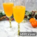 Two glasses filled with orange juice and cranberries.
