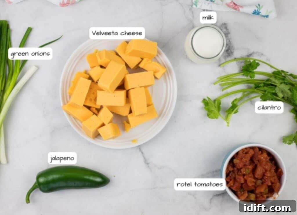 The ingredients for a deluxe Velveeta queso.