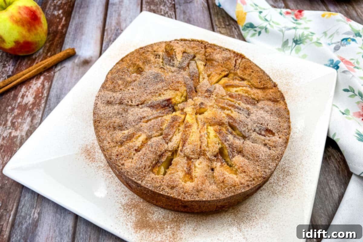 A rustic Nanna's Apple Cake on a white plate with cinnamon sticks, evoking homemade Irish baking.