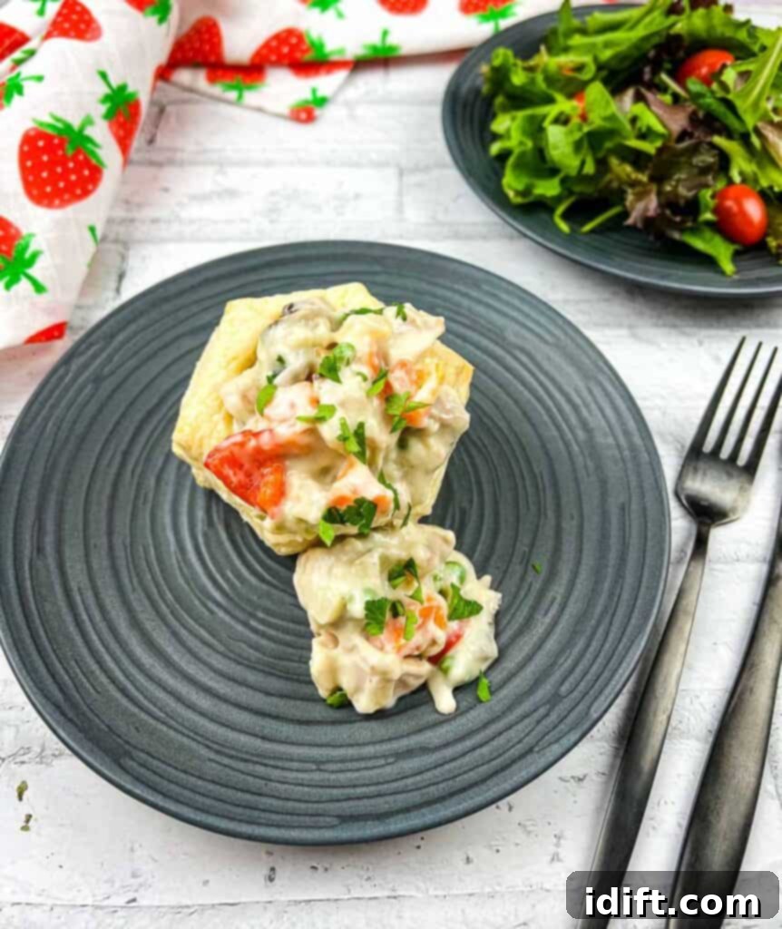 A black plate with a turkey a la king on it with a salad.