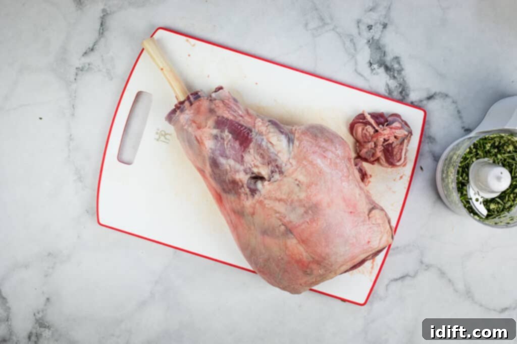 The lamb bone after being scraped clean, showcasing a professional 'Frenched' appearance.