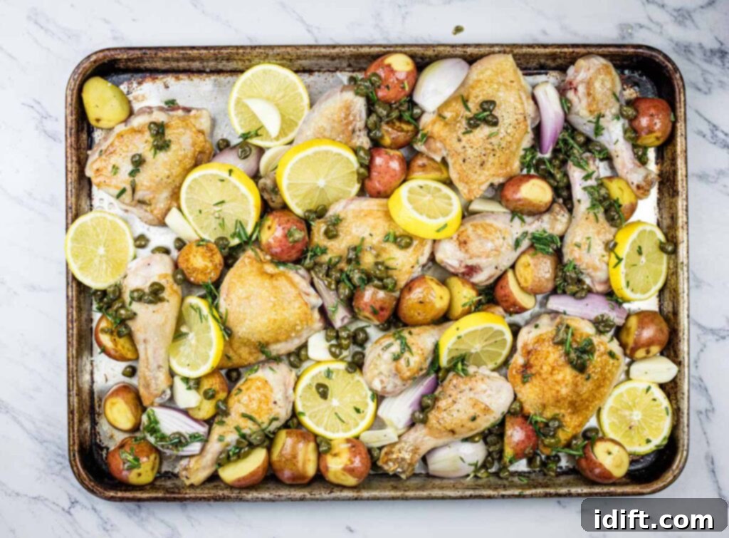 The arranged chicken, potatoes, and lemons on a baking sheet, freshly drizzled with an herb dressing.