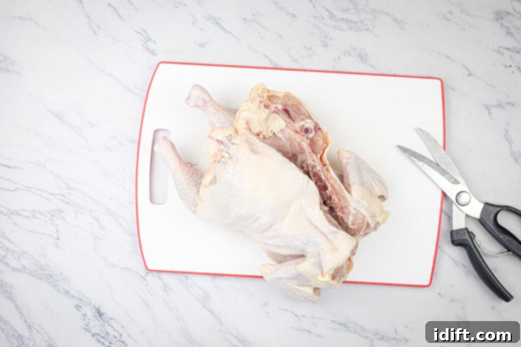 Mastering Spatchcock Chicken 4 Raw whole chicken on a red cutting board next to kitchen shears, demonstrating the initial cut.