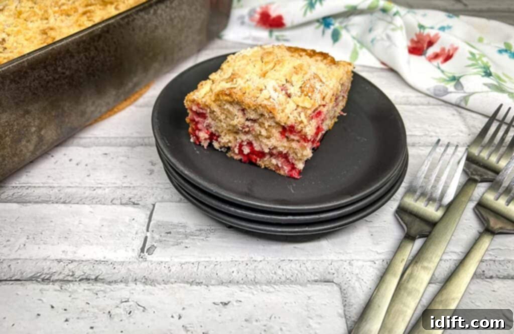 A generous slice of cranberry coffee cake, featuring a golden crumb topping, resting elegantly on a pristine white plate.