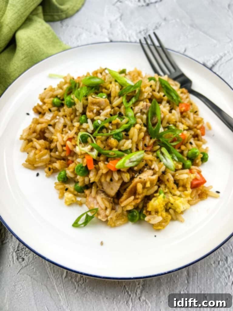 Anatolian Fried Rice 2 Crispy Turkey Fried Rice served on a white plate, garnished with fresh green onions and sesame seeds.